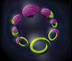 Discover how you can magnetically attract wealth into your pockets. How Ai And Neuroscience Drive Each Other Forwards