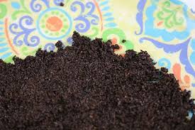 Teesatz Und Kaffeesatz Als Dunger Verwenden Gartendialog De Kaffeesatz Pflanzen Dunger Fur Tomaten