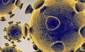 27 de diciembre de 2020 12:00 am. Nueva Cepa En Europa Que Se Sabe De La Nueva Cepa Mutada En Reino Unido El Correo