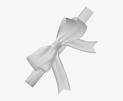 Bow tie icon isolated on black, white and transparent background. White Bow Png White Bow Transparent Background Transparent Png 504x600 Free Download On Nicepng