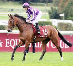 昨年の英国とアイルランドのオークスなど、欧州でgi3勝を挙げたディープインパクト産駒のスノーフォール（ 牝 （ めす ） 4歳）がアイルランドで . ãƒ‡ã‚£ãƒ¼ãƒ—æœ€é«˜å‚'ä½œã‚¹ãƒŽãƒ¼ãƒ•ã‚©ãƒ¼ãƒ«ï½—ï½—ï½—ï½—ï½—ï½—ï½— ã†ã¾ãªã¿ ç«¶é¦¬ã«ã‚…ãƒ¼ã™é€Ÿå ±