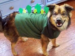 Doggie Dinosaur Diy Pet Costumes Dogs Diy Pet Costumes Dog Halloween Costumes