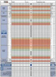 Brain Attic Standardising Patient Charts