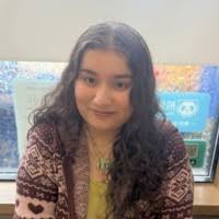 70+ "Sabreen" profiles