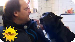 Seit 2008 gehörte der vierbeiner zum team der sendung. Hundeprofi Das Problem Ist Der Halter Sat 1 Fruhstucksfernsehen Youtube