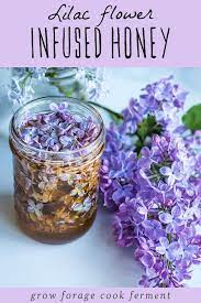 Lilac Flower Infused Honey Recipe Wild Food Foraging Edible Flowers Recipes Honey Recipes