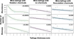 The garrett ace 350 metal detector w/8.5″ x 11″ d.d. Effects Of Submarine Mine Tailings On Macrobenthic Community Structure And Ecosystem Processes Sciencedirect