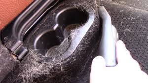 It is here that the best shark vacuum cleaner will get you an exceptionally clean surface for your place. The Best Vacuum Nozzle For Pet Hair Removal For Car Youtube