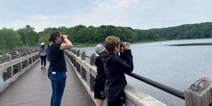 Caledonia Lakeside Park: Beginner Birding
