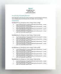 Functional Resume Template Hudson