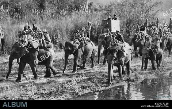 The Prince of Wales tiger shooting in India, 1921. Artist: Unknown - Album alb3917118