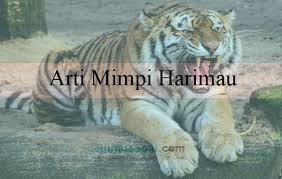 Check spelling or type a new query. 10 Arti Mimpi Harimau Menurut Primbon Dan Psikolog