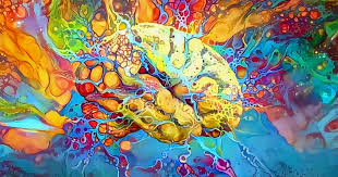 It is a sense of profound familiarity, of certainty regarding the existence of dmt space. Brain Wave Study Why A Dmt Trip Is Like Entering An Alternate Reality