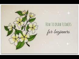 Apr 01, 2020 · this traditional origami lily flower looks lovely on its own or in a bouquet with other origami flowers. How To Draw Flowers Jasmine Flower For Beginners Youtube