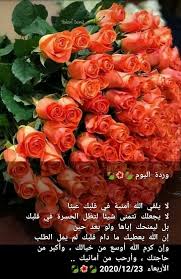 pin by صل على النبي on وردة اليوم hazrat ali sayings islamic posters flowers