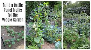 Build a garden arbor, rose arbor or other arbor design with free arbor plans. Cattle Panel Trellis How To Build A Diy Vegetable Garden Arch