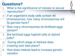 Aug 14, 2020 · key points. The Little Things That Make You Ppt Download