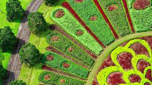 Landscape Design Certificate Emory University Atlanta Ga