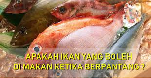 Oleh sebab itu, salah satu hal yang dapat membantu anda mengatasi asam urat adalah dengan mengurangi jumlah purin yang dimakan. 10 Jenis Ikan Untuk Ibu Berpantang Jenis Ikan Yang Tidak Gatal