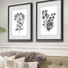 Black And White Framed Art Set Of 2 Botanical Black And White 2 Piece Framed Acrylic Painting Print Set White Framed Art French Country Wall Art Painting Prints