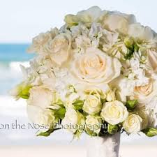 We did not find results for: Violets In Bloom 16 Photos Wedding Planning 3682 N Wickham Rd Melbourne Fl Phone Number Yelp