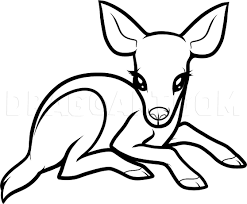 Download printable deer coloring pages to print for free. How To Draw A Baby Deer Baby Deer Coloring Page Trace Drawing
