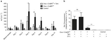 Gladbach logo borussia gladbach vfl borussia mönchengladbach borussia monchengladbach fohlen verein wahrheiten gute ideen sammlung. Effective Intrahepatic Cd8 T Cell Immune Responses Are Induced By Low But Not High Numbers Of Antigen Expressing Hepatocytes Cellular Molecular Immunology