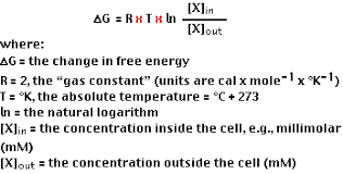 However, delta g naught remains the same because it is still referring to when the rxn is at standard conditions. Membrane Transport