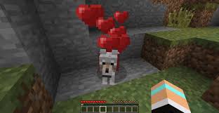 Minecraft Dog Cat How To Tame Minecraft Guide Gamepressure Com