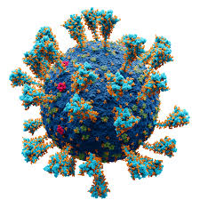 What is a word with 13 letters? Variants Of Sars Cov 2 Wikipedia