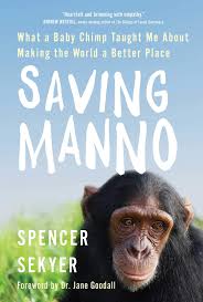 Where can you give a baby chimpanzee away? Saving Manno What A Baby Chimp Taught Me About Making The World A Better Place Sekyer Spencer Amazon De Bucher
