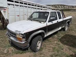 Image result for White 1994 Dakota