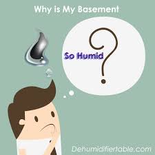 Mold, for example, grows in: What Is The Ideal Humidity For Basement Summer Or Winter
