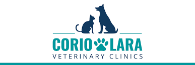 We did not find results for: Lara Veterinary Clinic Reviews Veterinarians At 75 Forest Rd Lara Vic