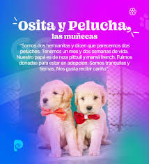 Alcaldía de Portoviejo added a...