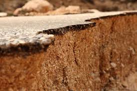 Mudslides can also be covered, if defined exactly as the standard flood insurance policy defines mudflow. while these terms may all sound similar, some are covered by flood insurance, while others are covered by a product called difference in conditions. Mudslide And Landslide Insurance In Washington Mcclain Insurance