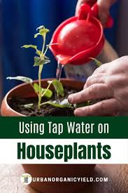 Pin On Hydroponics Just Good Eats
