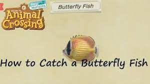 Hooking all the animal crossing: Animal Crossing New Horizons How To Catch A Butterfly Fish Youtube