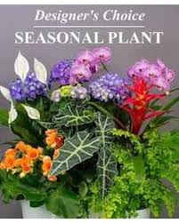 Maybe you would like to learn more about one of these? Florists In Cary Nc Flower Delivery Cary Nc