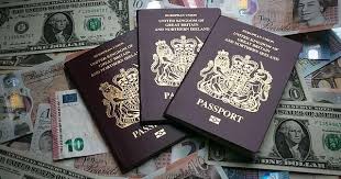 Passport photo app make it quick and easy to create standard passport and visa photos. Buy Fake Passport Online Genuine Passports For Sale Get Fake Visa Online Passport Online Visa Online Passport
