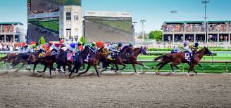 2019 kentucky derby results payout trifecta exacta