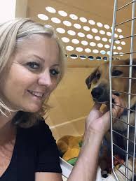 Fostering and escorting dogs to forever homes in Nova Scotia