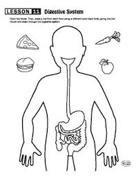 Digestive System Maze Digestive System Human Body Systems Human Body Unit