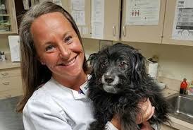 Experienced Veterinarians in West Des Moines, Iowa