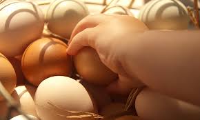 Ab wann gibt's fürs baby welchen gemüsebrei? Ab Wann Und Wie Viele Eier Darf Mein Baby Essen
