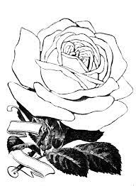 Farmhouse rose decoration, book page banner, vintage rose bunting, valentines day decor, rose garland rovingrosegraphics. Flower Coloring Pages