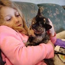 Four Kids For Kritters