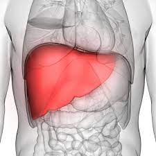 Check spelling or type a new query. Five Essential Tips For A Healthy Liver