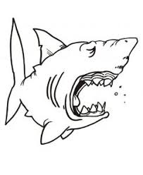 Explore 623989 free printable coloring pages for you can use our amazing online tool to color and edit the following baby shark coloring pages. Sharks Free Printable Coloring Pages For Kids