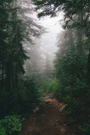 And Forget Not That The Earth Delights To Feel Your Bare Feet And The Winds Long To Play With Your Hair Nature Photography Beautiful Nature Woods Photography